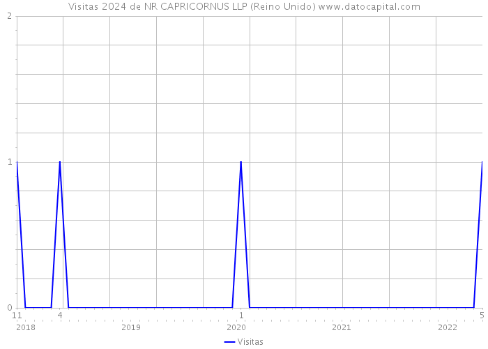 Visitas 2024 de NR CAPRICORNUS LLP (Reino Unido) 