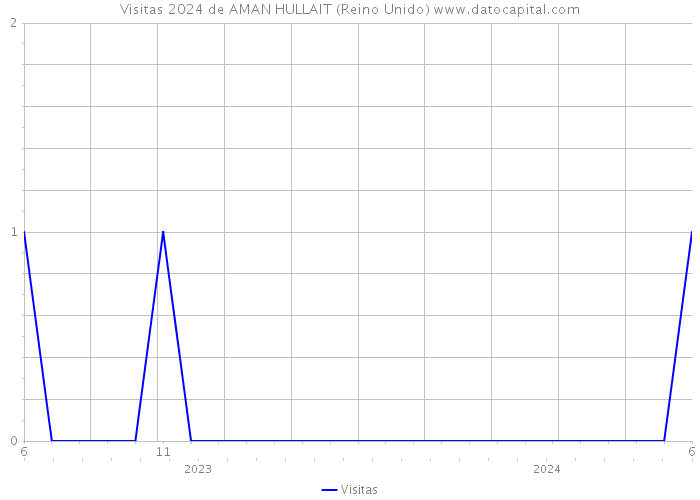 Visitas 2024 de AMAN HULLAIT (Reino Unido) 