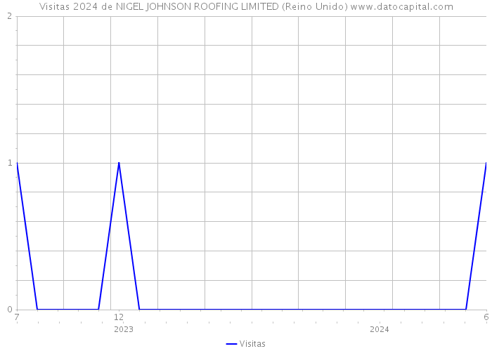 Visitas 2024 de NIGEL JOHNSON ROOFING LIMITED (Reino Unido) 