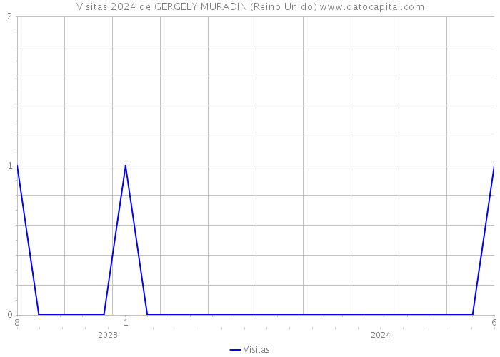 Visitas 2024 de GERGELY MURADIN (Reino Unido) 