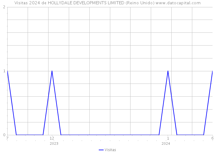 Visitas 2024 de HOLLYDALE DEVELOPMENTS LIMITED (Reino Unido) 