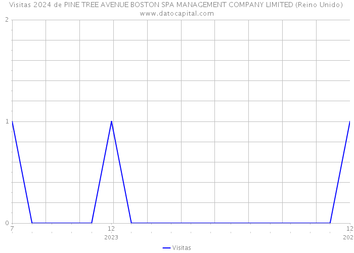 Visitas 2024 de PINE TREE AVENUE BOSTON SPA MANAGEMENT COMPANY LIMITED (Reino Unido) 