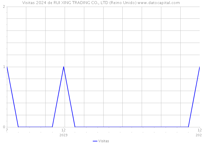 Visitas 2024 de RUI XING TRADING CO., LTD (Reino Unido) 