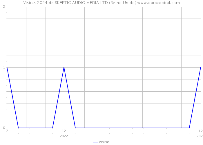 Visitas 2024 de SKEPTIC AUDIO MEDIA LTD (Reino Unido) 