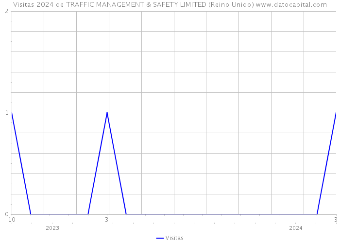 Visitas 2024 de TRAFFIC MANAGEMENT & SAFETY LIMITED (Reino Unido) 