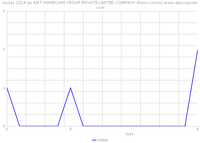 Visitas 2024 de AMT HOMECARE GROUP PRIVATE LIMITED COMPANY (Reino Unido) 