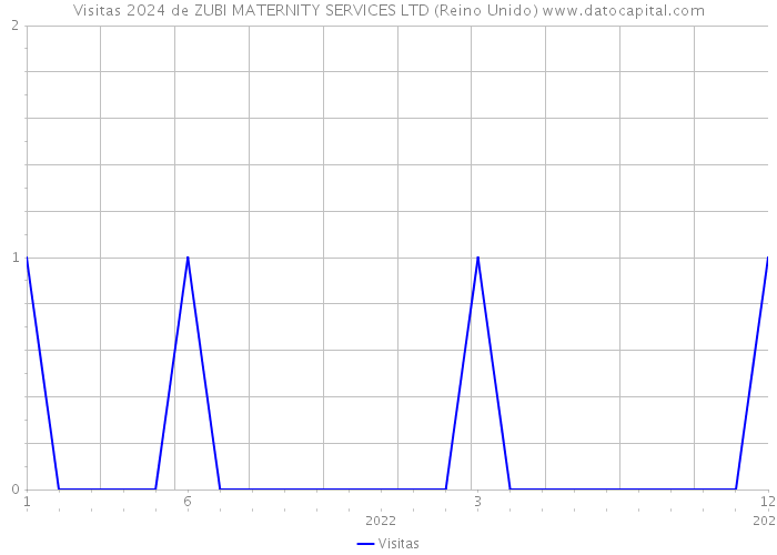 Visitas 2024 de ZUBI MATERNITY SERVICES LTD (Reino Unido) 