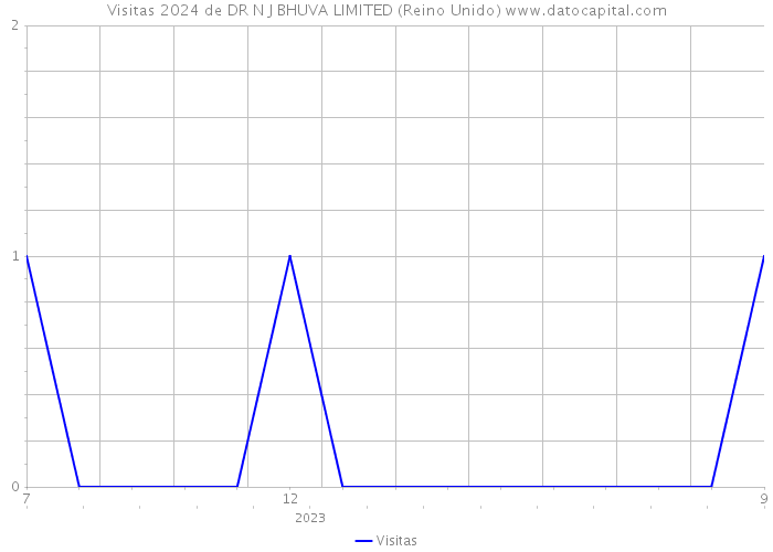 Visitas 2024 de DR N J BHUVA LIMITED (Reino Unido) 