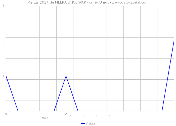 Visitas 2024 de MEERA DHOLIWAR (Reino Unido) 