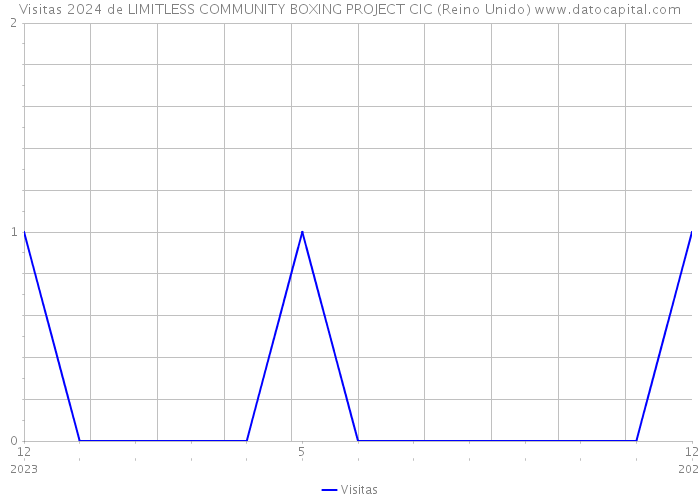 Visitas 2024 de LIMITLESS COMMUNITY BOXING PROJECT CIC (Reino Unido) 