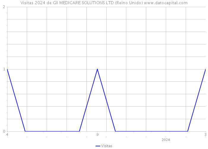 Visitas 2024 de GII MEDICARE SOLUTIONS LTD (Reino Unido) 