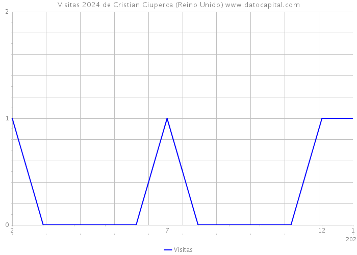 Visitas 2024 de Cristian Ciuperca (Reino Unido) 