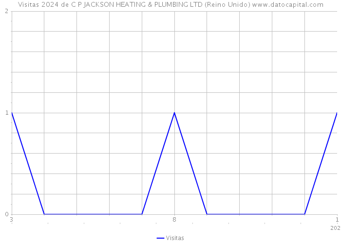 Visitas 2024 de C P JACKSON HEATING & PLUMBING LTD (Reino Unido) 