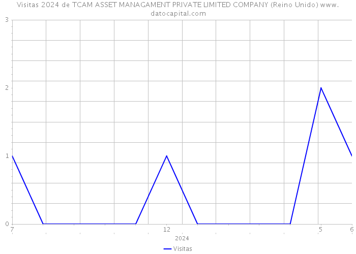 Visitas 2024 de TCAM ASSET MANAGAMENT PRIVATE LIMITED COMPANY (Reino Unido) 