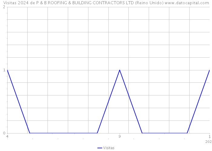 Visitas 2024 de P & B ROOFING & BUILDING CONTRACTORS LTD (Reino Unido) 