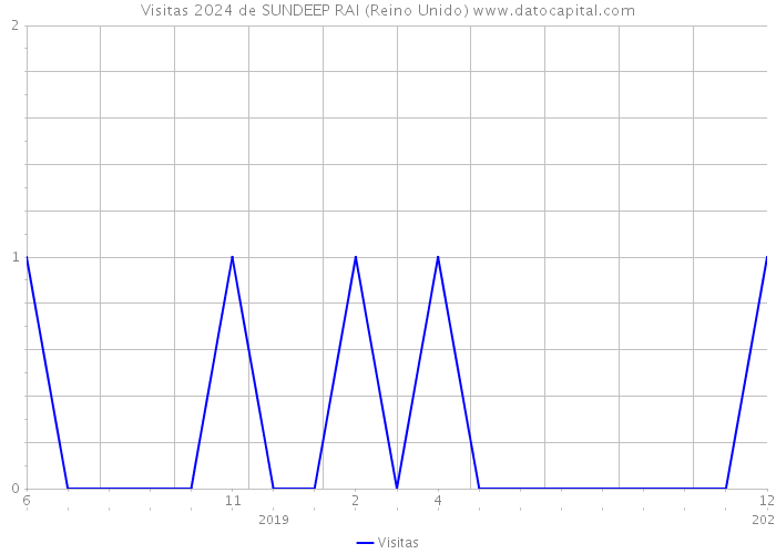 Visitas 2024 de SUNDEEP RAI (Reino Unido) 