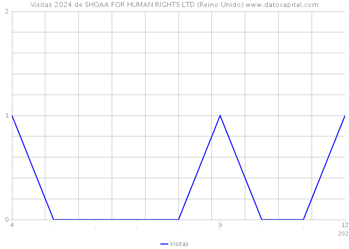 Visitas 2024 de SHOAA FOR HUMAN RIGHTS LTD (Reino Unido) 