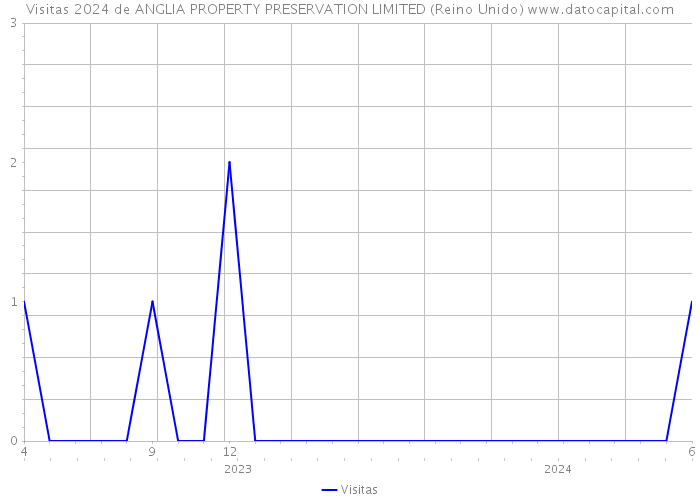 Visitas 2024 de ANGLIA PROPERTY PRESERVATION LIMITED (Reino Unido) 