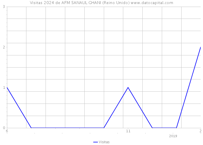 Visitas 2024 de AFM SANAUL GHANI (Reino Unido) 