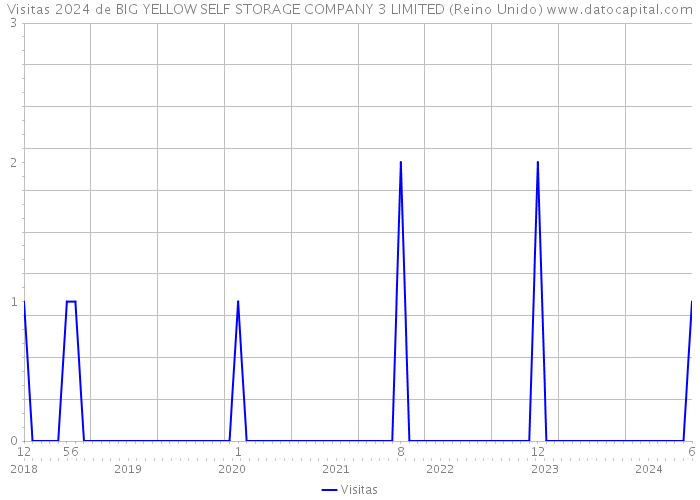 Visitas 2024 de BIG YELLOW SELF STORAGE COMPANY 3 LIMITED (Reino Unido) 