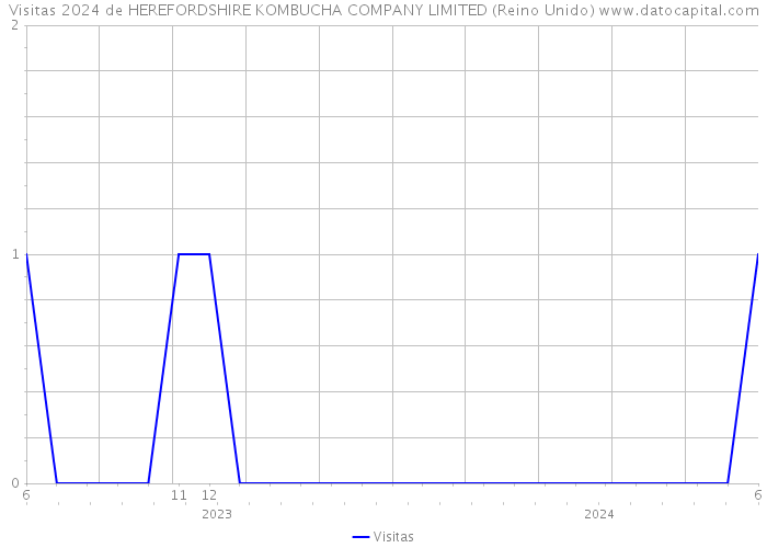 Visitas 2024 de HEREFORDSHIRE KOMBUCHA COMPANY LIMITED (Reino Unido) 