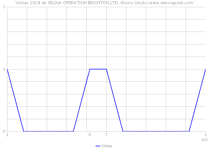 Visitas 2024 de SELINA OPERATION BRIGHTON LTD. (Reino Unido) 