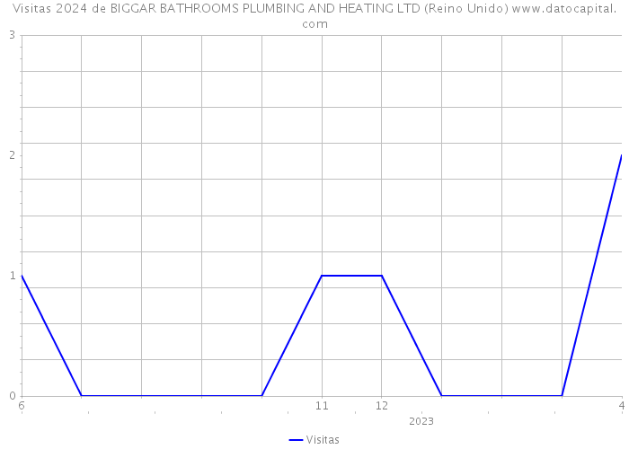 Visitas 2024 de BIGGAR BATHROOMS PLUMBING AND HEATING LTD (Reino Unido) 