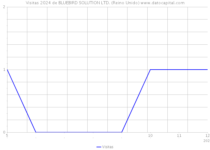 Visitas 2024 de BLUEBIRD SOLUTION LTD. (Reino Unido) 