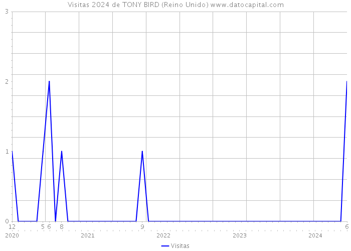 Visitas 2024 de TONY BIRD (Reino Unido) 