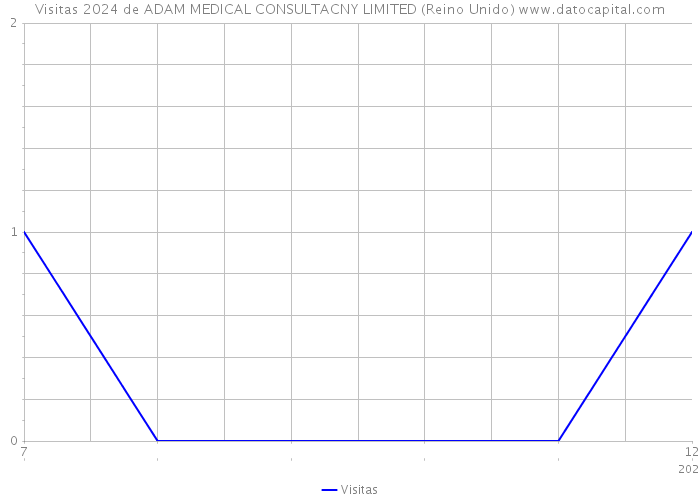 Visitas 2024 de ADAM MEDICAL CONSULTACNY LIMITED (Reino Unido) 