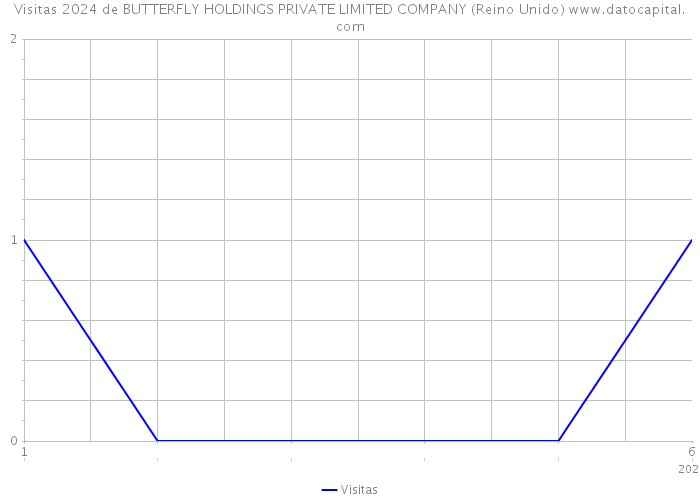 Visitas 2024 de BUTTERFLY HOLDINGS PRIVATE LIMITED COMPANY (Reino Unido) 