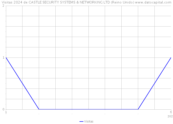 Visitas 2024 de CASTLE SECURITY SYSTEMS & NETWORKING LTD (Reino Unido) 