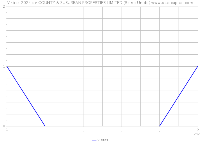 Visitas 2024 de COUNTY & SUBURBAN PROPERTIES LIMITED (Reino Unido) 