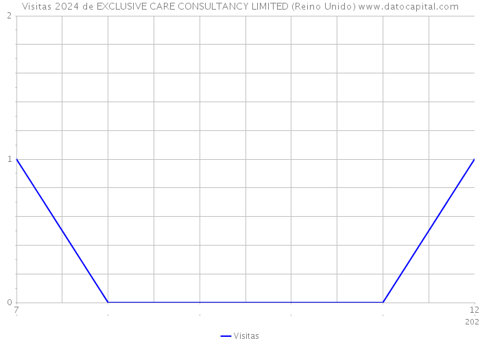 Visitas 2024 de EXCLUSIVE CARE CONSULTANCY LIMITED (Reino Unido) 