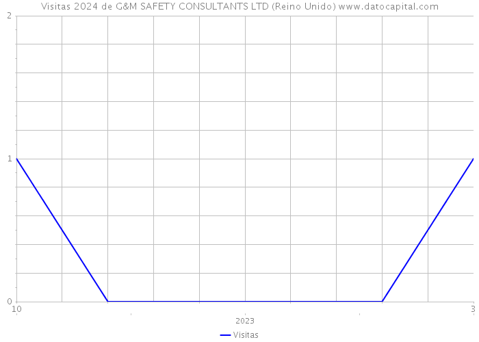 Visitas 2024 de G&M SAFETY CONSULTANTS LTD (Reino Unido) 