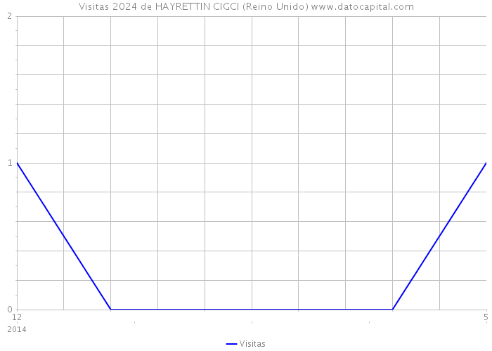 Visitas 2024 de HAYRETTIN CIGCI (Reino Unido) 