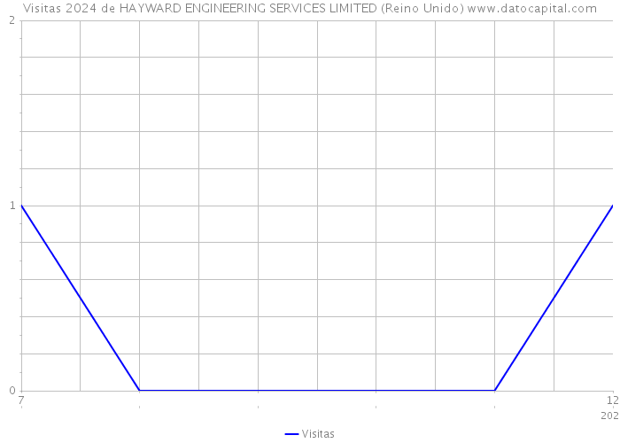 Visitas 2024 de HAYWARD ENGINEERING SERVICES LIMITED (Reino Unido) 