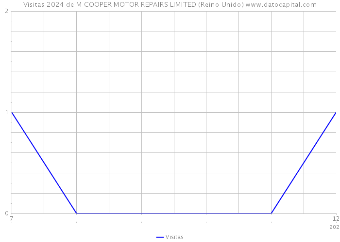 Visitas 2024 de M COOPER MOTOR REPAIRS LIMITED (Reino Unido) 