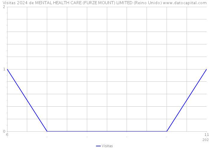 Visitas 2024 de MENTAL HEALTH CARE (FURZE MOUNT) LIMITED (Reino Unido) 
