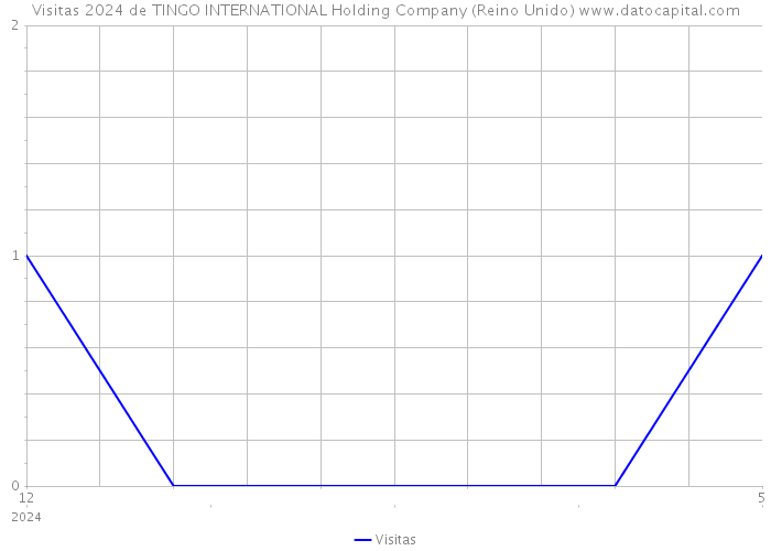 Visitas 2024 de TINGO INTERNATIONAL Holding Company (Reino Unido) 