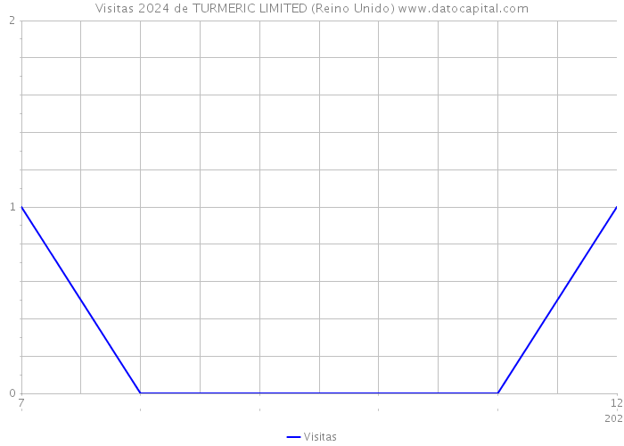 Visitas 2024 de TURMERIC LIMITED (Reino Unido) 