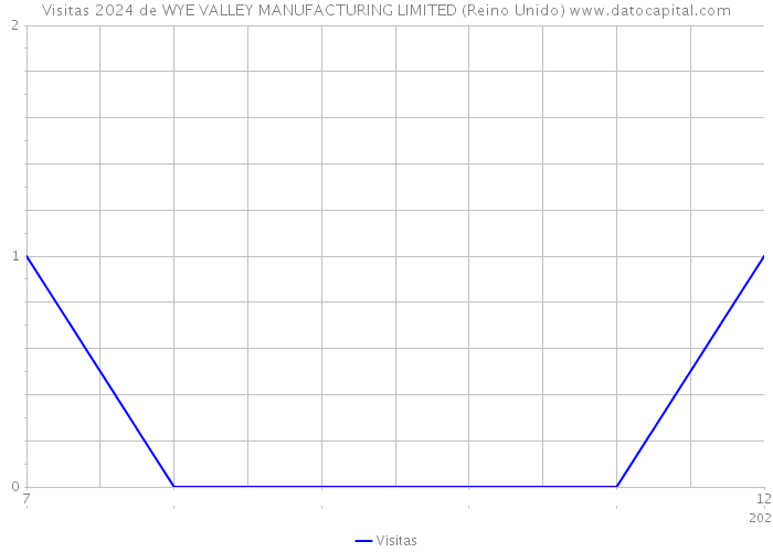 Visitas 2024 de WYE VALLEY MANUFACTURING LIMITED (Reino Unido) 