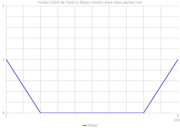 Visitas 2024 de Yulei Li (Reino Unido) 