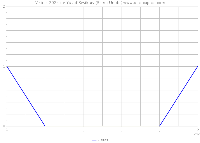 Visitas 2024 de Yusuf Besiktas (Reino Unido) 