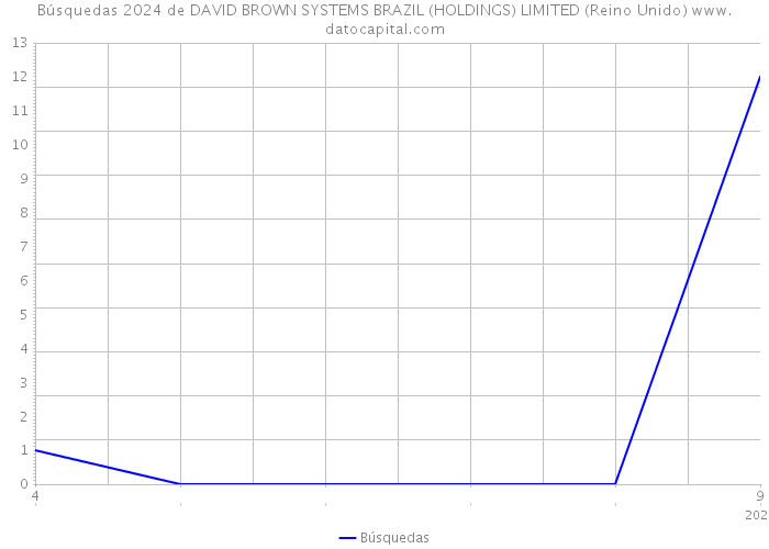 Búsquedas 2024 de DAVID BROWN SYSTEMS BRAZIL (HOLDINGS) LIMITED (Reino Unido) 