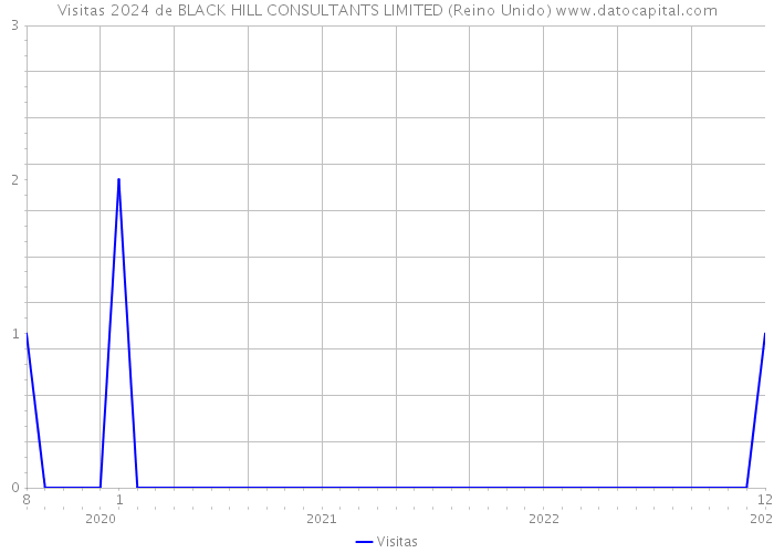 Visitas 2024 de BLACK HILL CONSULTANTS LIMITED (Reino Unido) 