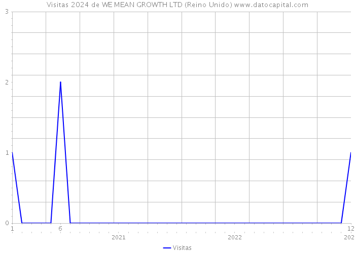 Visitas 2024 de WE MEAN GROWTH LTD (Reino Unido) 