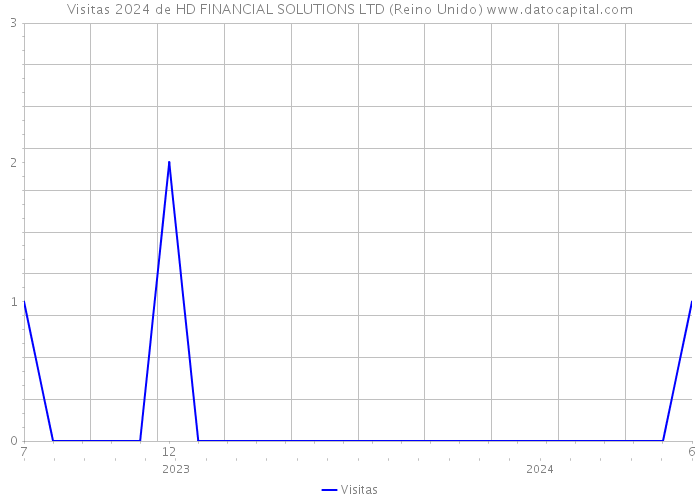 Visitas 2024 de HD FINANCIAL SOLUTIONS LTD (Reino Unido) 