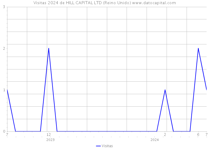 Visitas 2024 de HILL CAPITAL LTD (Reino Unido) 