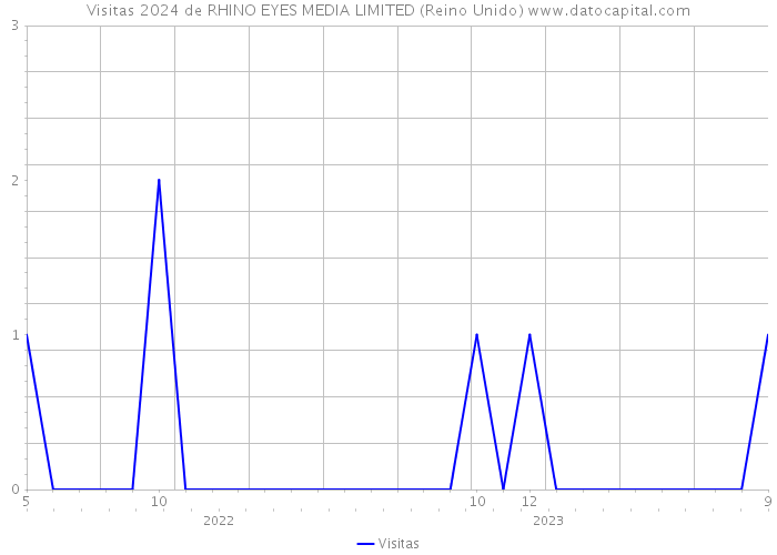 Visitas 2024 de RHINO EYES MEDIA LIMITED (Reino Unido) 